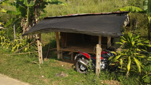 Start dirt road to Doi Pha Tang Tempel