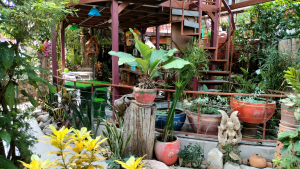 Garden and one of the seating areas at Three J Guesthouse