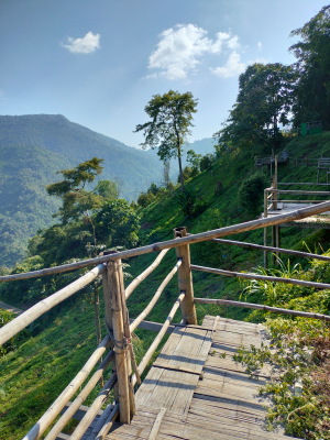 Viewpoint with bamboo deks at Route 22 / Rural Road 4001