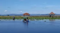 Boat tour at the Bueng Bua Wood Boardwalk