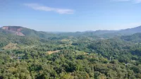 The view at the top of Wat Pa Buddha Temple